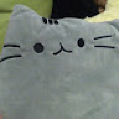 Virág zoekt een Kamer in Breda